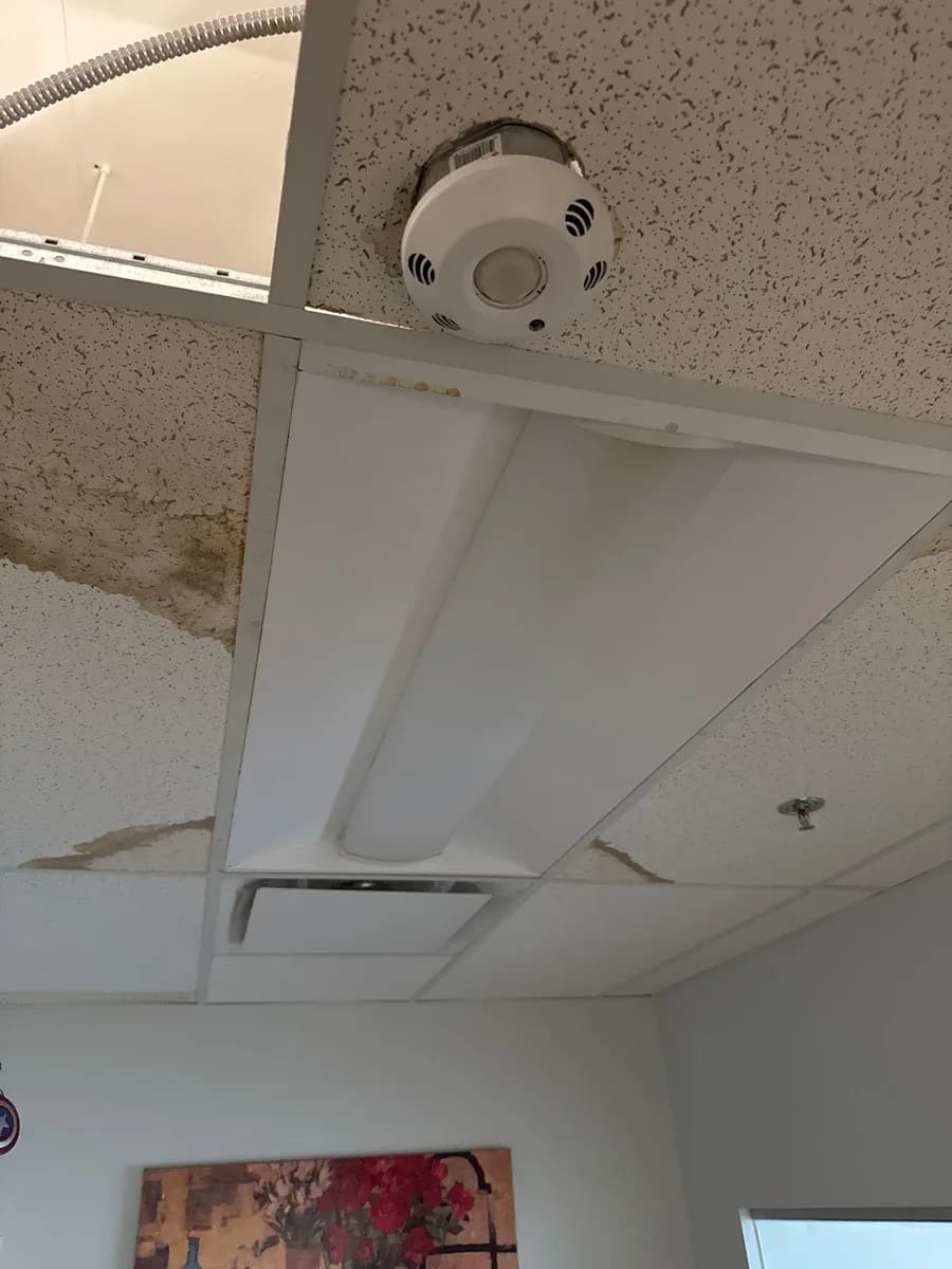 Ceiling-mounted smoke detector and fluorescent light fixture in a suspended ceiling.