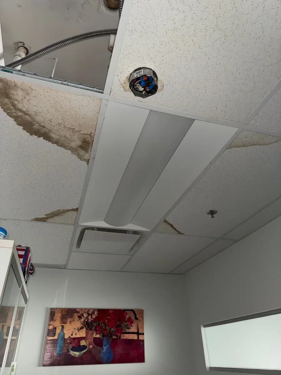 Open electrical junction box with visible wiring and flexible metal conduit in a suspended ceiling.
