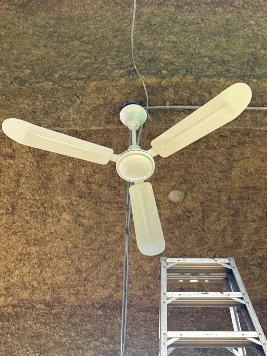 White three-blade ceiling fan mounted on a textured ceiling with visible wiring and an aluminum ladder below.