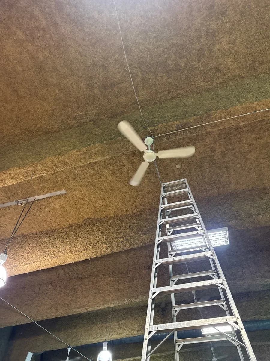 Ceiling-mounted three-blade fan, exposed wiring, and rectangular light fixtures above an extension ladder.