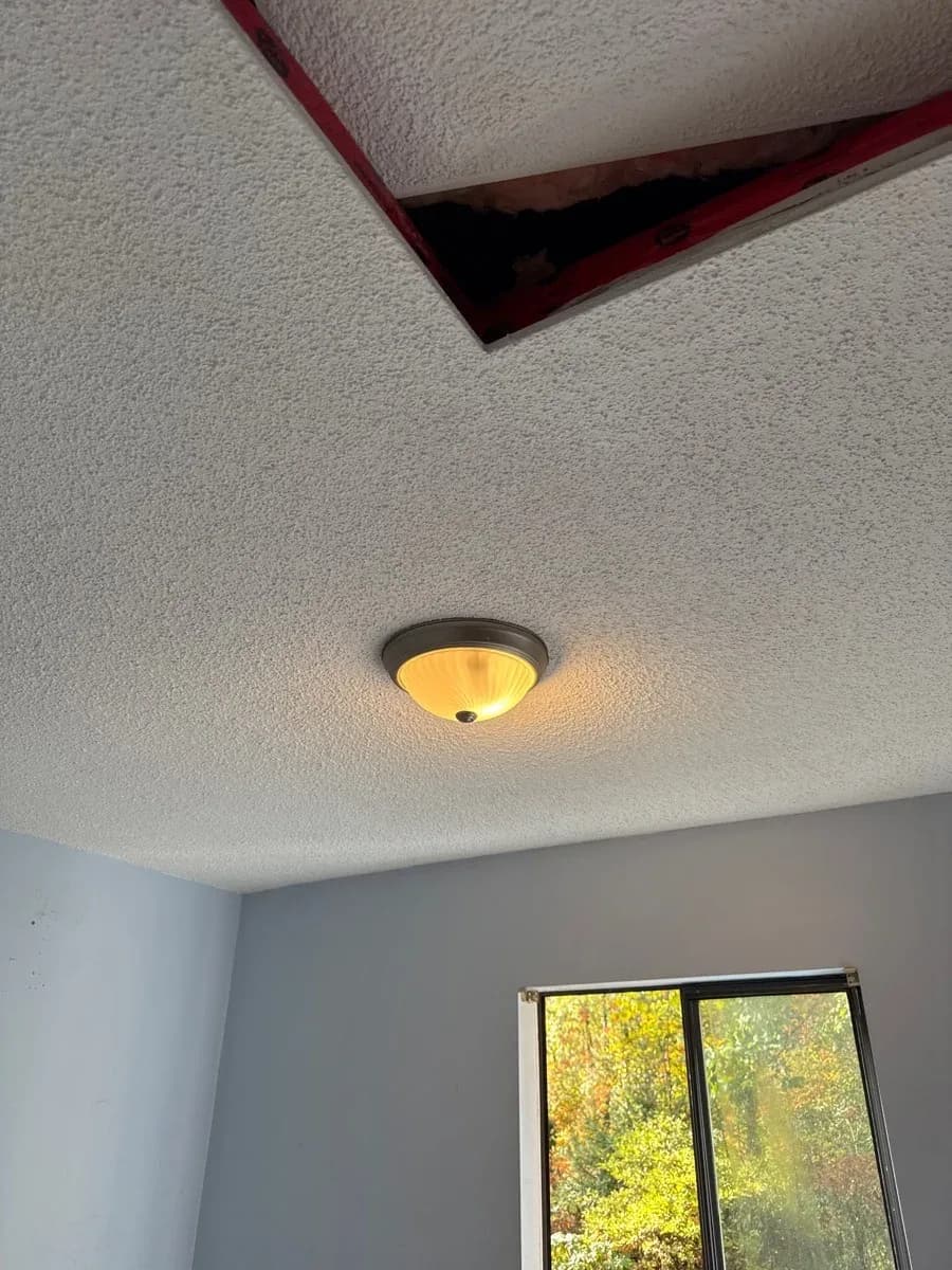 Installed flush-mount ceiling light illuminated in a textured ceiling, with a window visible below.